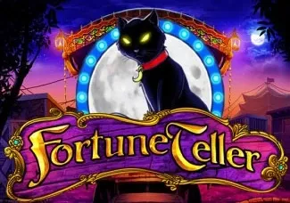 Fortune Teller game icon